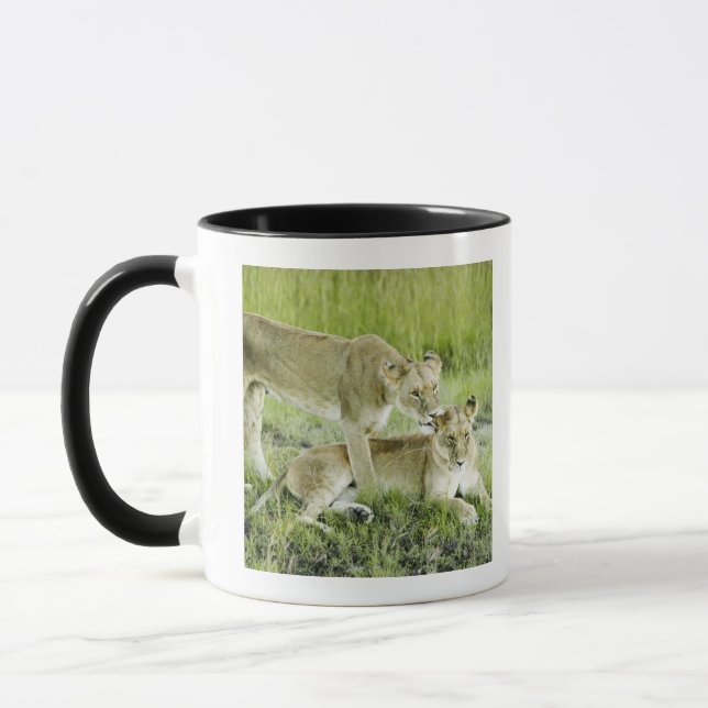 Lejont och lioness, afrika mugg (Vänster)