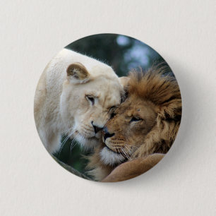Lejont och Lioness Knapp