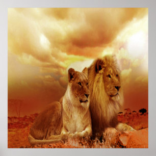Lejont och lionessen värderar 24" x 24", poster