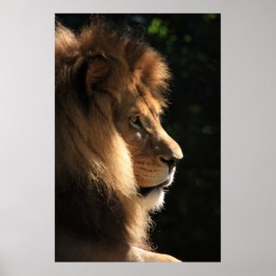 Lejont Poster