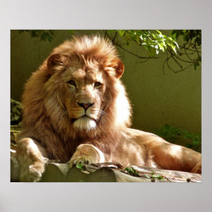 Lejont Poster