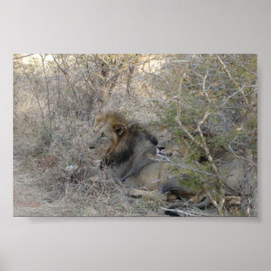 Lejont Poster