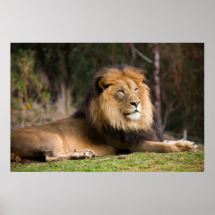 Lejont Poster