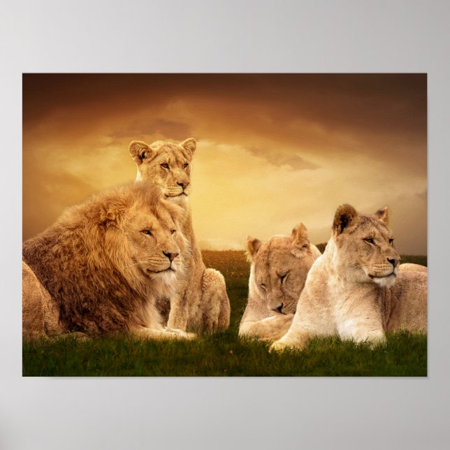 Lejont pride poster (Framsidan)
