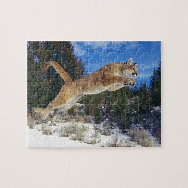 Lejont puzzel i bergsområden pussel (Horisontell)