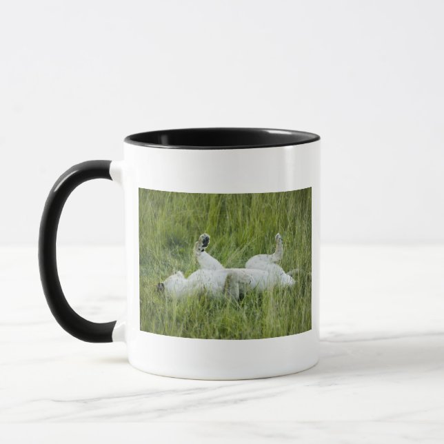 Lejont rullande i det högväxt gräset, afrika mugg (Vänster)