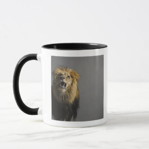 Lejont ryta mugg
