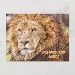 Lejont Safari-vykort Vykort