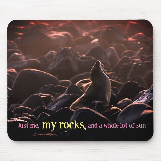 Lejont solbadhav musmatta (Framsidan)