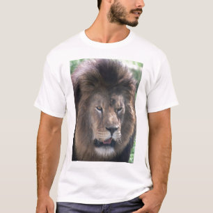 Lejont Tee Shirt
