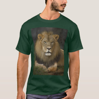 Lejont Tee Shirt