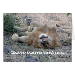 Lejont "upplagt" kort (Masai Mara)