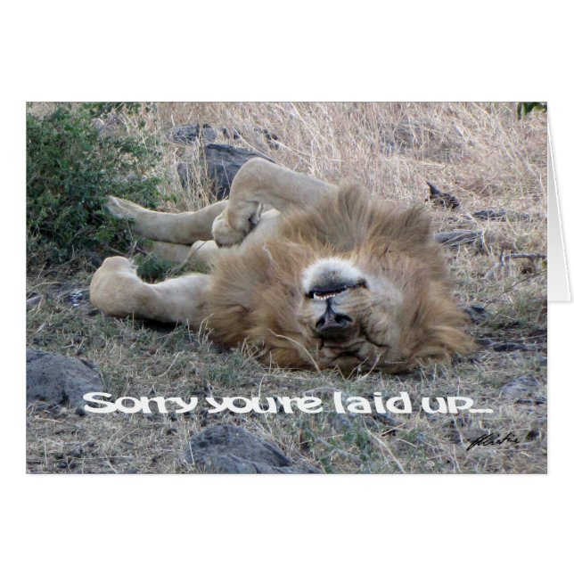 Lejont "upplagt" kort (Masai Mara) (Framsidan Horizontal)