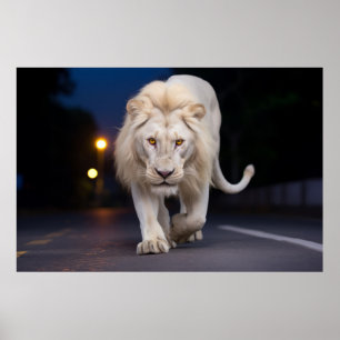 Lejont vildlevande djur på gatan utomhus poster