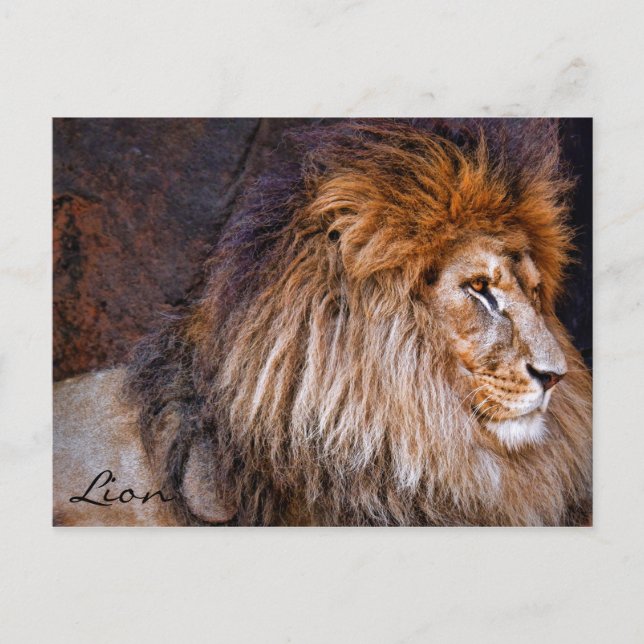 Lejont [vykort] ポ ス ト カ ー vykort (Framsida)