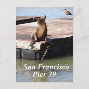 Lejont vykort för San Francisco Pier 39 Sea