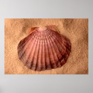 Lejontass Poster