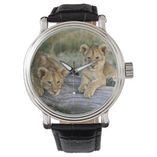 Lejonungar på stock armbandsur