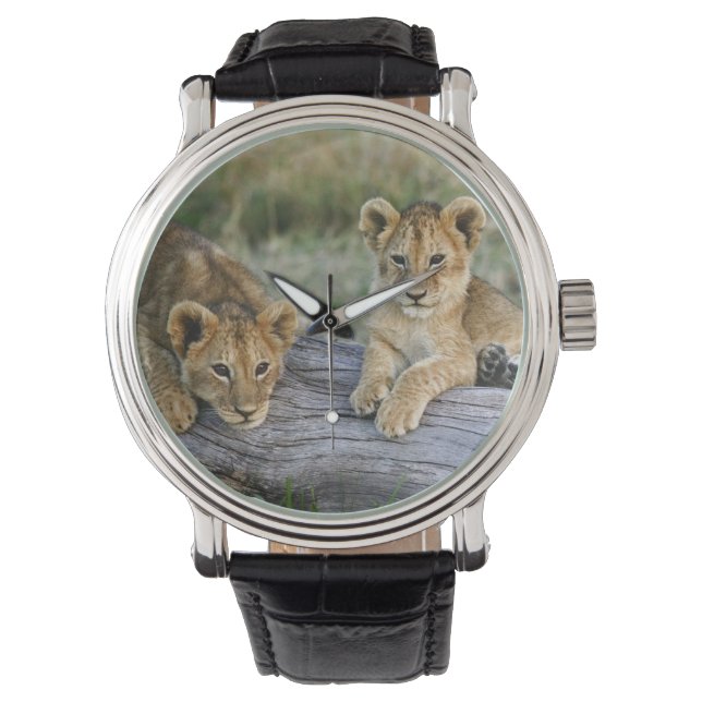 Lejonungar på stock armbandsur (Framsida)