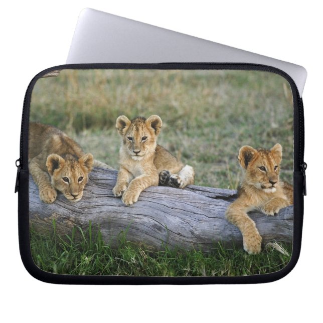 Lejonungar på stock laptop sleeve (Framsidan)