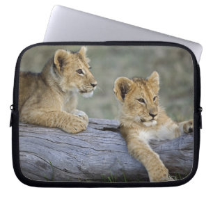 Lejonungar på stock laptop sleeve