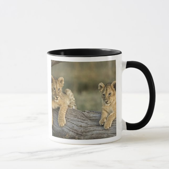 Lejonungar på stock mugg (Höger)