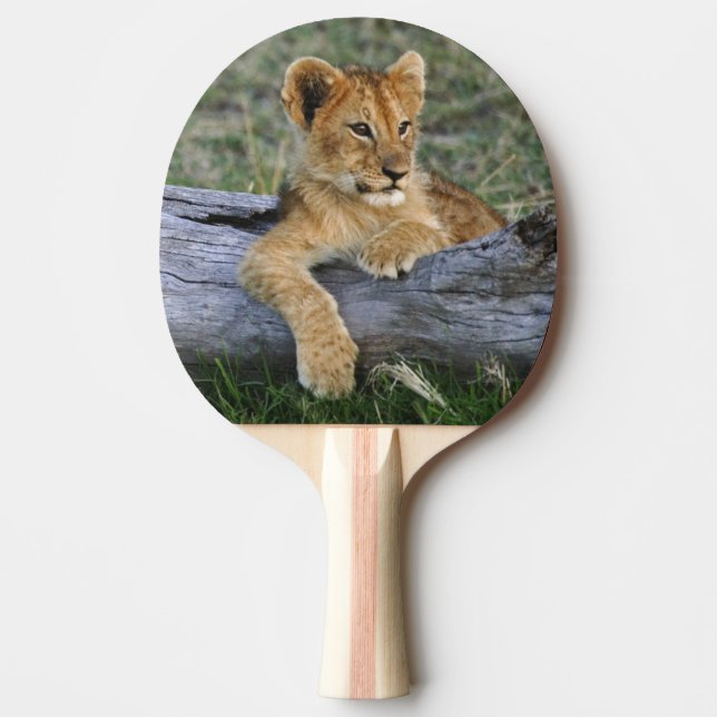 Lejonungar på stock pingisracket (Framsidan)