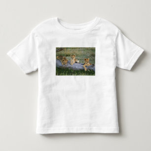 Lejonungar på stock t shirt