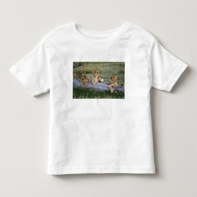 Lejonungar på stock t shirt (Framsida)