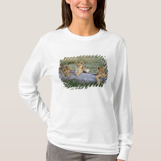 Lejonungar på stock tee shirt (Framsida)