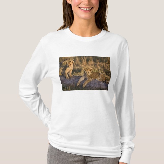 Lejonungar på stock tee shirt (Framsida)
