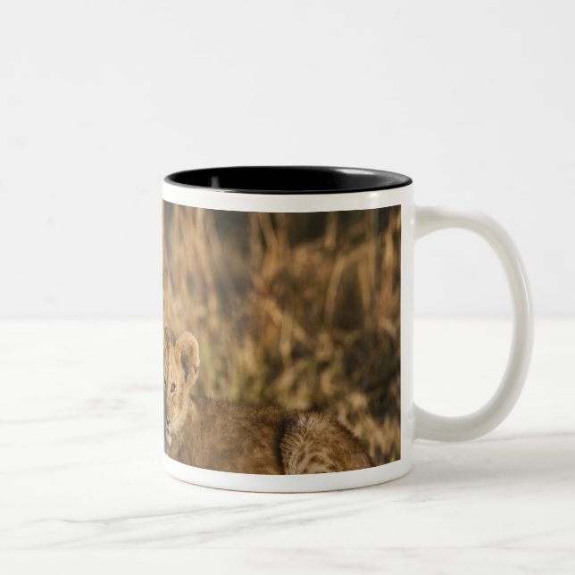 Lejonungar på stock Två-Tonad mugg (Höger)