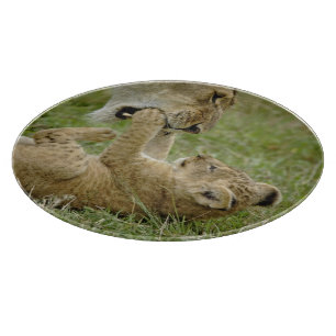 Lejonunge leker