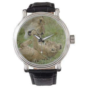 Lejonunge leker armbandsur