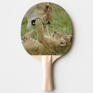 Lejonunge leker pingisracket