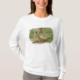 Lejonunge leker tee