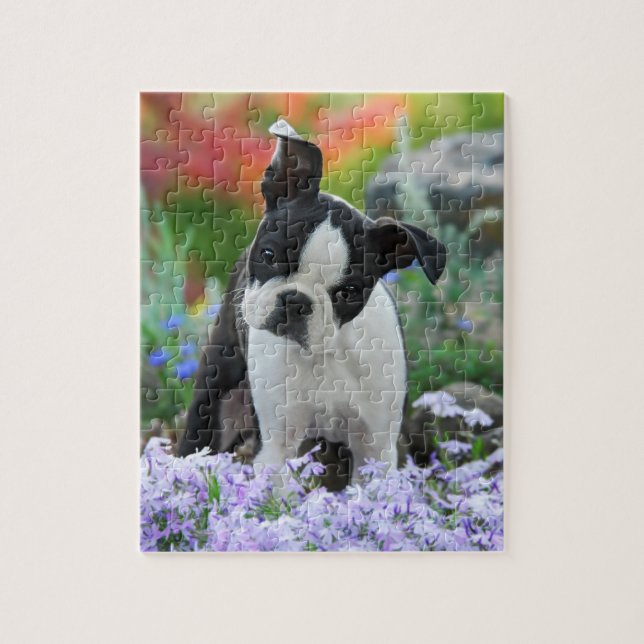 Lek 8x10 för valp för Boston Terrierhund gullig Pussel (Vertikal)