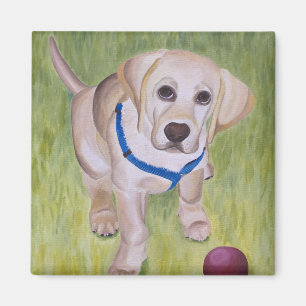 Lek med mig. Gul Labrador Retriever Magnent Magnet