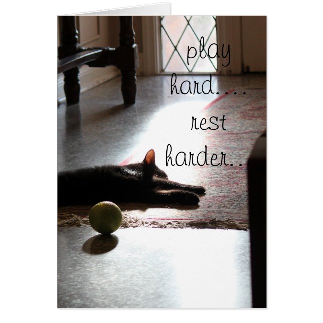 lek… vilar hårt mer hård sova kattunge med hälsningskort (Framsidan)