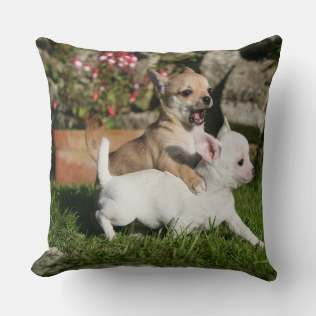 Leka för Chihuahuavalp Kudde (Framsida)