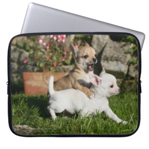 Leka för Chihuahuavalp Laptop Fodral
