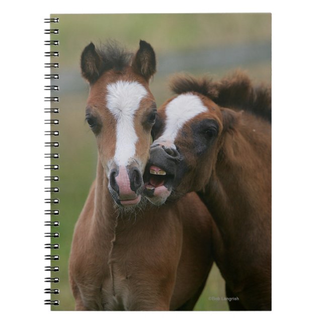 Leka för föl anteckningsbok (Framsidan)