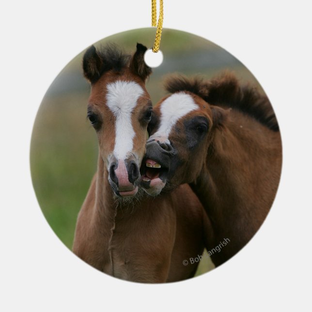 Leka för föl julgransprydnad keramik (Framsidan)