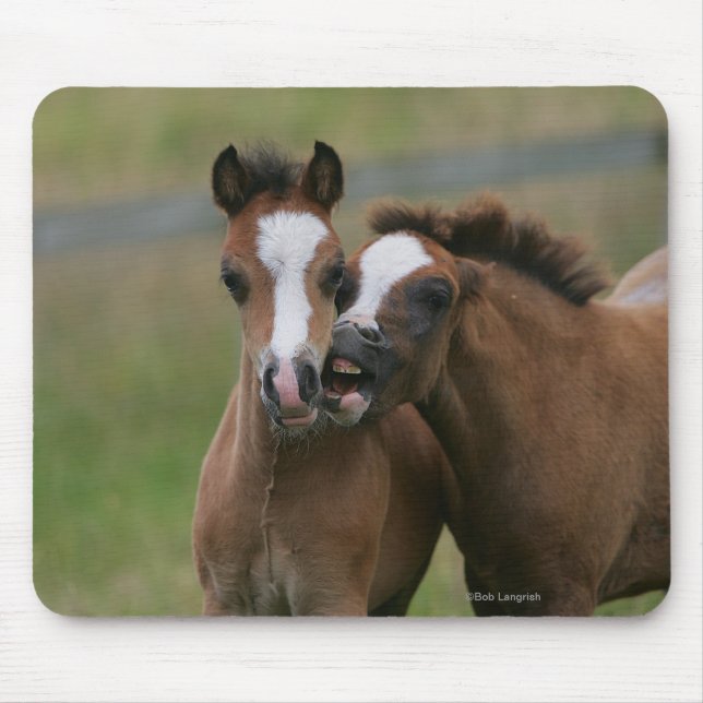 Leka för föl musmatta (Framsidan)