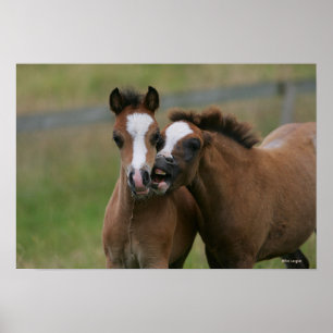 Leka för föl poster