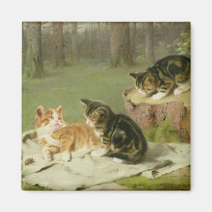 Leka för kattungar magnet