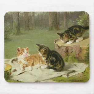 Leka för kattungar musmatta