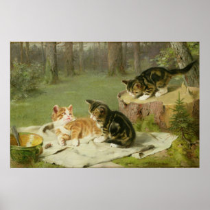 Leka för kattungar poster