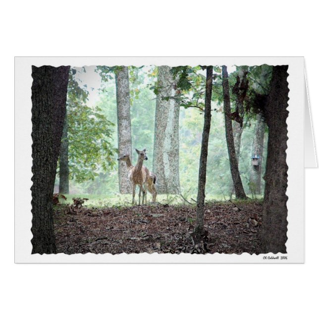 Leka i skogen hälsningskort (Framsidan Horizontal)