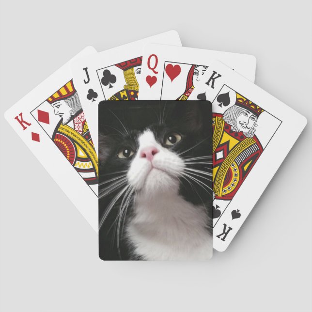 leka kort spelkort (Baksidan)